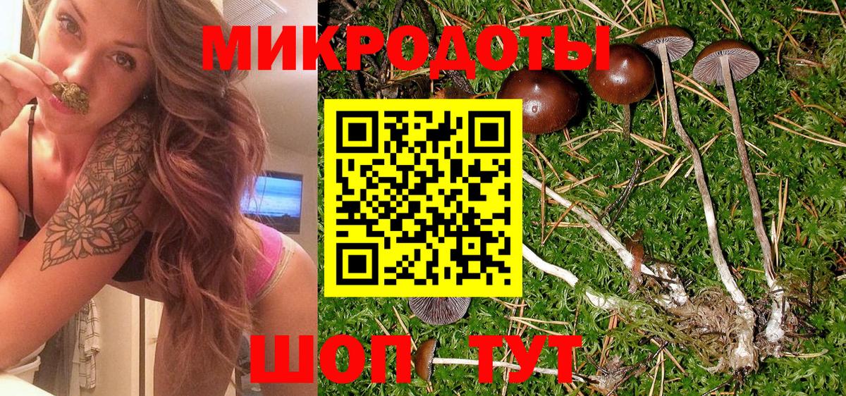 Тихвин  Галлюциногенные грибы Psilocybe  Вход с VPN 